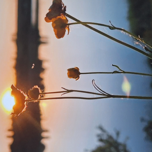 НОВОСТИ 02.12.2025 г.